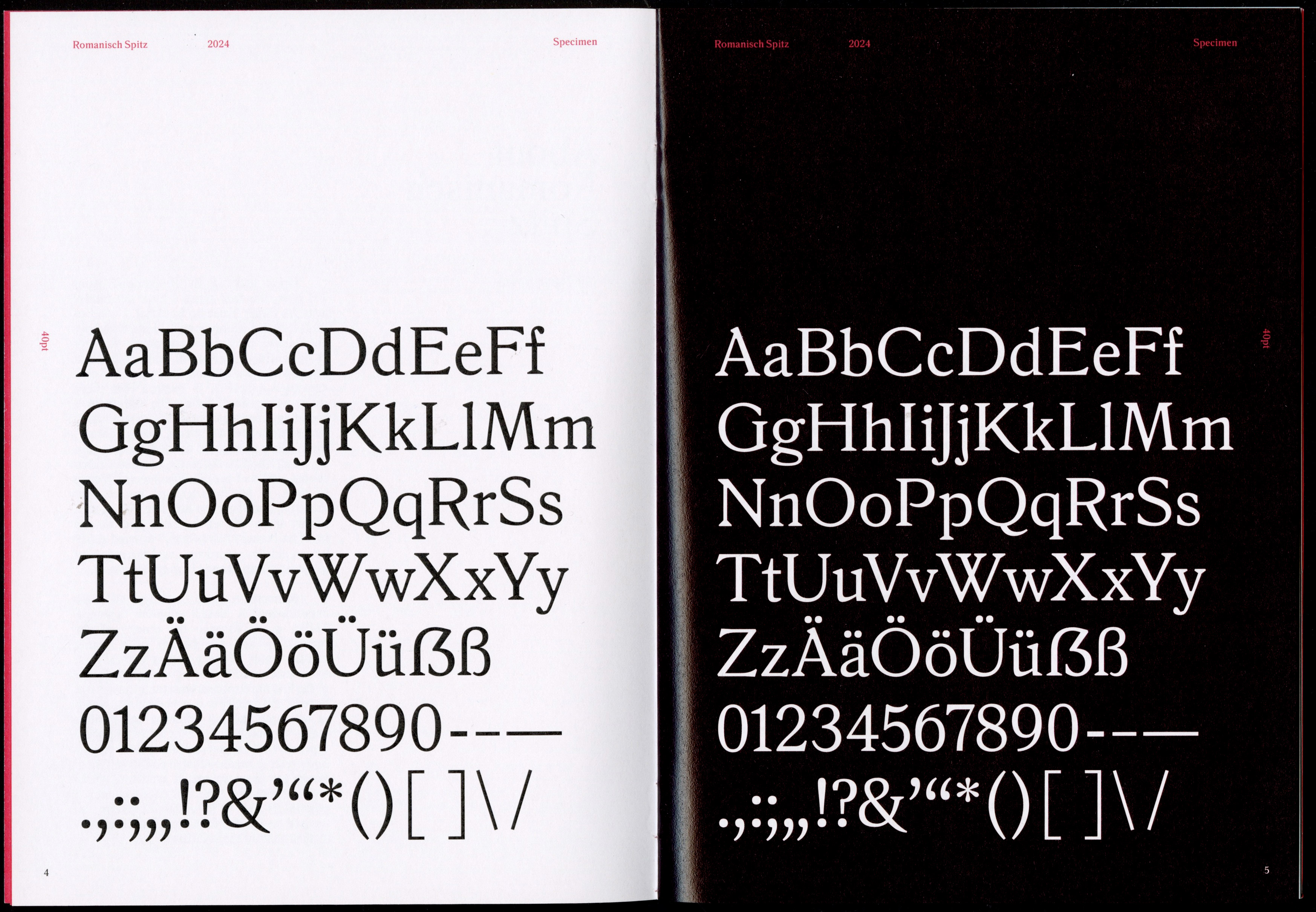 Romanisch Spitz specimen 3